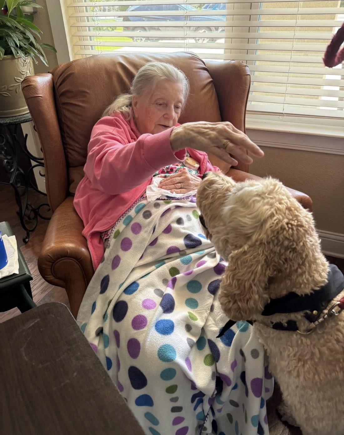 Resident enjoying a visit from a therapy dog